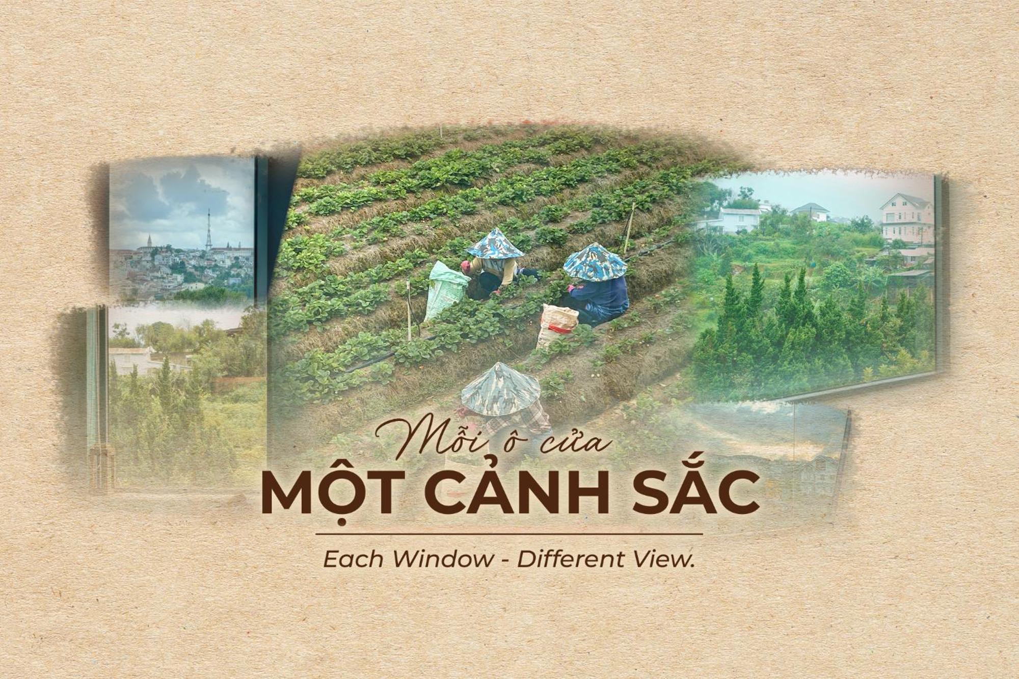 Hanoi Amsterdam Art Studio Νταλάτ Εξωτερικό φωτογραφία