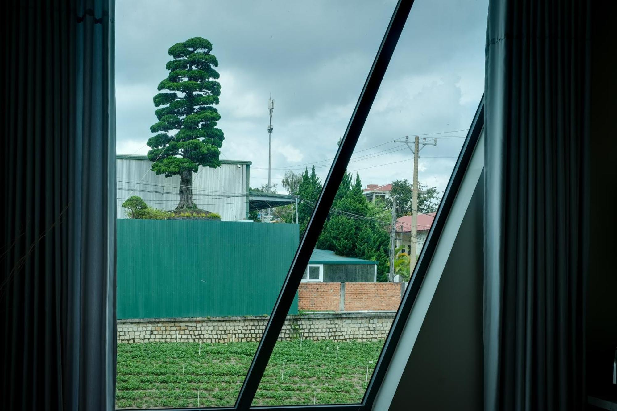 Hanoi Amsterdam Art Studio Νταλάτ Εξωτερικό φωτογραφία